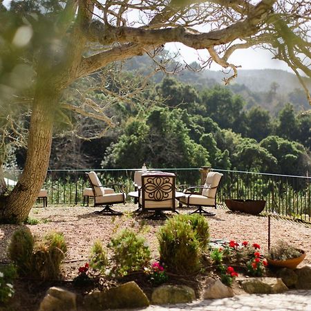 Quinta Da Bella Vista - Historic Home And Farm Sintra Dış mekan fotoğraf