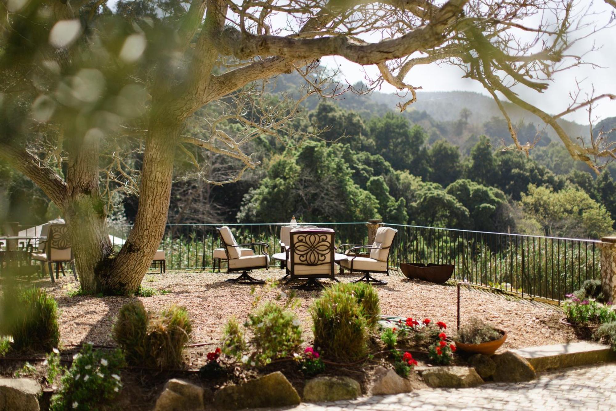 Quinta Da Bella Vista - Historic Home And Farm Sintra Dış mekan fotoğraf